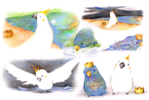 鳥の色鉛筆絵